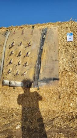 Imagen Miguel González Segovia mira Arte en la Naturaleza de Espirdo desde arriba para ganar la decimoséptima edición del certamen de pintura