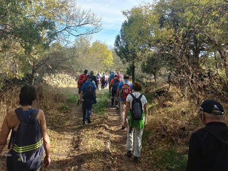 Imagen Prodestur convoca el próximo 23 de abril a los segovianos a la cuarta etapa de la ruta por la vertiente sur del Camino de San Frutos