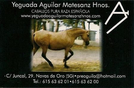 Imagen YEGUADA AGUILAR MATESANZ, Hnos.